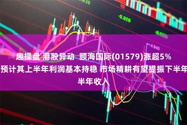 趣操盘 港股异动 颐海国际(01579)涨超5% 中金预计其上半年利润基本持稳 市场精耕有望提振下半年收入