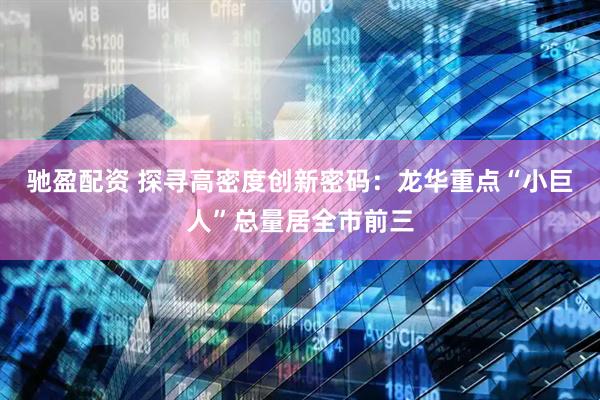 驰盈配资 探寻高密度创新密码：龙华重点“小巨人”总量居全市前三